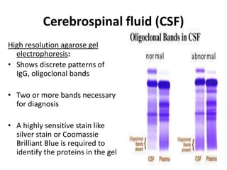 Cerebrospinal fluid (CSF)
High resolution agarose gel
electrophoresis:
• Shows discrete patterns of
IgG, oligoclonal bands
• Two or more bands necessary
for diagnosis
• A highly sensitive stain like
silver stain or Coomassie
Brilliant Blue is required to
identify the proteins in the gel
 