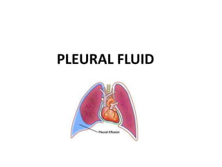 PLEURAL FLUID
 