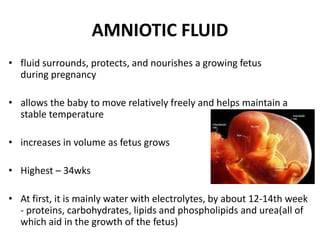 AMNIOTIC FLUID
• fluid surrounds, protects, and nourishes a growing fetus
during pregnancy
• allows the baby to move relatively freely and helps maintain a
stable temperature
• increases in volume as fetus grows
• Highest – 34wks
• At first, it is mainly water with electrolytes, by about 12-14th week
- proteins, carbohydrates, lipids and phospholipids and urea(all of
which aid in the growth of the fetus)
 
