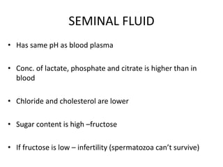 SEMINAL FLUID
• Has same pH as blood plasma
• Conc. of lactate, phosphate and citrate is higher than in
blood
• Chloride and cholesterol are lower
• Sugar content is high –fructose
• If fructose is low – infertility (spermatozoa can’t survive)
 