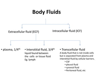 Body Fluids Examples Image Body Fluids Types, Defination And Overview – RVPZ