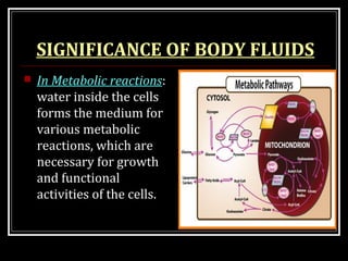 SIGNIFICANCE OF BODY FLUIDS
 In Metabolic reactions:
water inside the cells
forms the medium for
various metabolic
reactions, which are
necessary for growth
and functional
activities of the cells.
 