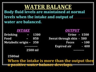 WATER BALANCE
Body fluid levels are maintained at normal
levels when the intake and output of
water are balanced.
INTAKE OUTPUT
Drinking – 1300 Urine – 1500
Food – 850 Sweat through skin - 500
Metabolic origin – 350 Feces – 100
------------ Expired air - 400
2500 ml ----------
2500ml
When the intake is more than the output then
a positive water balance develops.
 