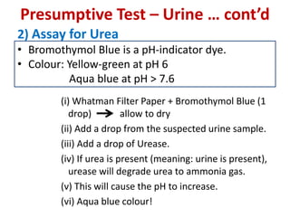 Presumptive Test – Urine … cont’d
2) Assay for Urea
• Bromothymol Blue is a pH-indicator dye.
• Colour: Yellow-green at pH 6
Aqua blue at pH > 7.6
(i) Whatman Filter Paper + Bromothymol Blue (1
drop) allow to dry
(ii) Add a drop from the suspected urine sample.
(iii) Add a drop of Urease.
(iv) If urea is present (meaning: urine is present),
urease will degrade urea to ammonia gas.
(v) This will cause the pH to increase.
(vi) Aqua blue colour!
 