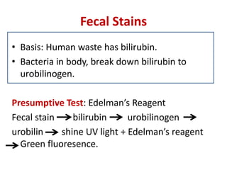 Fecal Stains
• Basis: Human waste has bilirubin.
• Bacteria in body, break down bilirubin to
urobilinogen.
Presumptive Test: Edelman’s Reagent
Fecal stain bilirubin urobilinogen
urobilin shine UV light + Edelman’s reagent
Green fluoresence.
 