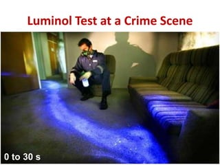 Luminol Test at a Crime Scene
0 to 30 s
 