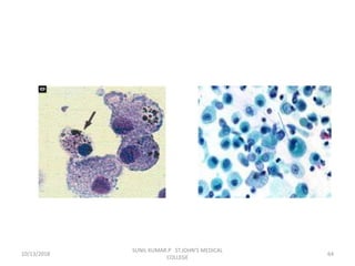 10/13/2018 64
SUNIL KUMAR.P ST.JOHN'S MEDICAL
COLLEGE
 