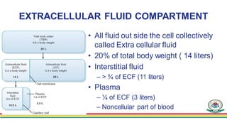 EXTRACELLULAR FLUID COMPARTMENT
• All fluid out side the cell collectively
called Extra cellular fluid
• 20% of total body...