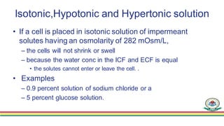 EFFECT OF ADDING SALINE SOLUTION TO ECF
• If isotonic saline is added to the ECF compartment
– No change in osmolarity
– n...