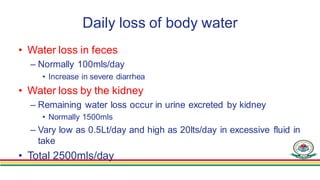 Daily loss of body water
• Water loss in feces
– Normally 100mls/day
• Increase in severe diarrhea
• Water loss by the kid...