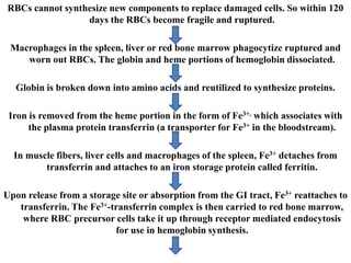 body fluids123654987236598741236598.pptx