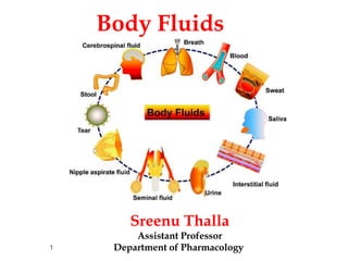 Body Fluids
1
Sreenu Thalla
Assistant Professor
Department of Pharmacology
 
