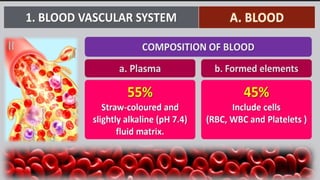 body fluids.pptx biology grade 11 bank of biology | PPTX