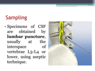 Comprehensive Overview of Body Fluids in Chemical Pathology and Their ...
