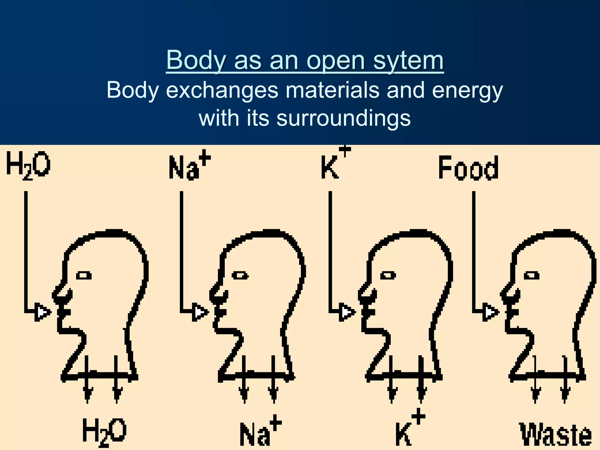 BODY_FLUIDS-IMTIAZ[1].ppt