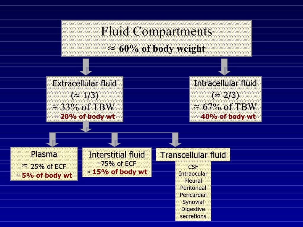 body fluid compartments usmle body fluid compartments usmle