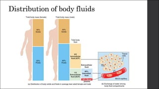 Distribution of body fluids
 