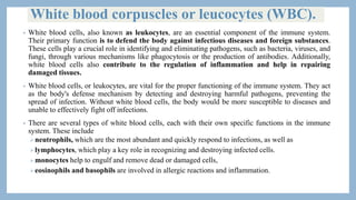 White blood corpuscles or leucocytes (WBC).
• White blood cells, also known as leukocytes, are an essential component of the immune system.
Their primary function is to defend the body against infectious diseases and foreign substances.
These cells play a crucial role in identifying and eliminating pathogens, such as bacteria, viruses, and
fungi, through various mechanisms like phagocytosis or the production of antibodies. Additionally,
white blood cells also contribute to the regulation of inflammation and help in repairing
damaged tissues.
• White blood cells, or leukocytes, are vital for the proper functioning of the immune system. They act
as the body's defense mechanism by detecting and destroying harmful pathogens, preventing the
spread of infection. Without white blood cells, the body would be more susceptible to diseases and
unable to effectively fight off infections.
• There are several types of white blood cells, each with their own specific functions in the immune
system. These include
neutrophils, which are the most abundant and quickly respond to infections, as well as
lymphocytes, which play a key role in recognizing and destroying infected cells.
monocytes help to engulf and remove dead or damaged cells,
eosinophils and basophils are involved in allergic reactions and inflammation.
 