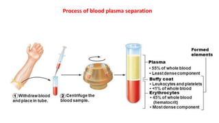 Process of blood plasma separation
 