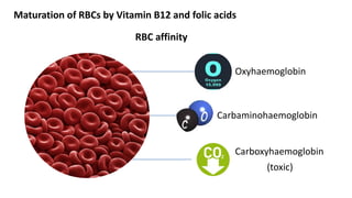 RBC affinity
Oxyhaemoglobin
Carbaminohaemoglobin
Carboxyhaemoglobin
(toxic)
Maturation of RBCs by Vitamin B12 and folic acids
 