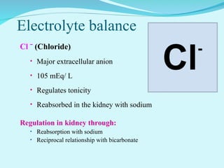 Comprehensive Overview of Body Fluids and Electrolyte Balance in Human ...