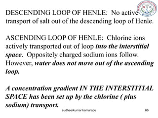 Body fluids and renal functions | PDF