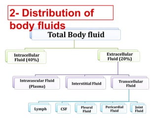 Total Body fluid
Intracellular
Fluid (40%)
Extracellular
Fluid (20%)
Intravascular Fluid
(Plasma)
Interstitial Fluid
Transcellular
Fluid
Lymph CSF Pleural
Fluid
Pericardial
Fluid
Joint
Fluid
2- Distribution of
body fluids
 