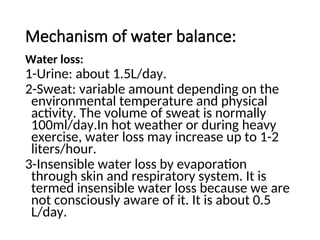 Mechanism of water balance:
Water loss:
1-Urine: about 1.5L/day.
2-Sweat: variable amount depending on the
environmental temperature and physical
activity. The volume of sweat is normally
100ml/day.In hot weather or during heavy
exercise, water loss may increase up to 1-2
liters/hour.
3-Insensible water loss by evaporation
through skin and respiratory system. It is
termed insensible water loss because we are
not consciously aware of it. It is about 0.5
L/day.
 