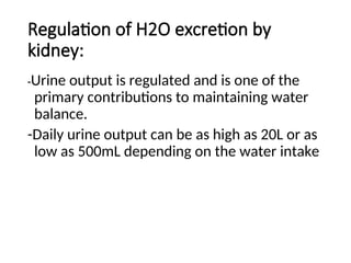 Regulation of H2O excretion by
kidney:
-Urine output is regulated and is one of the
primary contributions to maintaining water
balance.
-Daily urine output can be as high as 20L or as
low as 500mL depending on the water intake
 