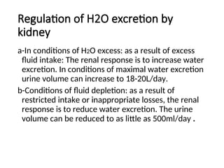 Regulation of H2O excretion by
kidney
a-In conditions of H2O excess: as a result of excess
fluid intake: The renal response is to increase water
excretion. In conditions of maximal water excretion
urine volume can increase to 18-20L/day.
b-Conditions of fluid depletion: as a result of
restricted intake or inappropriate losses, the renal
response is to reduce water excretion. The urine
volume can be reduced to as little as 500ml/day .
 