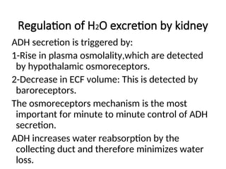 Regulation of H2O excretion by kidney
ADH secretion is triggered by:
1-Rise in plasma osmolality,which are detected
by hypothalamic osmoreceptors.
2-Decrease in ECF volume: This is detected by
baroreceptors.
The osmoreceptors mechanism is the most
important for minute to minute control of ADH
secretion.
ADH increases water reabsorption by the
collecting duct and therefore minimizes water
loss.
 