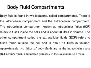 Body Fluid Compartments
Body fluid is found in two locations, called compartments. There is
the intracellular compartment and the extracellular compartment.
The intracellular compartment known as intracellular fluids (ICF)
refers to fluids inside the cells and is about 28 litres in volume. The
other compartment called the extracellular fluids (ECF) refers to
fluids found outside the cell and is about 14 litres in volume.
Approximately two thirds of body fluids are in the intracellular space
(ICF) compartment and located primarily in the skeletal muscle mass.
 