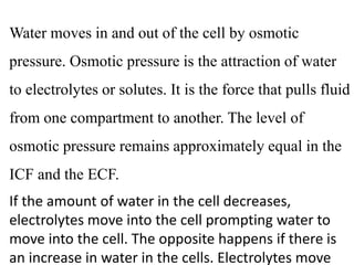 Water moves in and out of the cell by osmotic
pressure. Osmotic pressure is the attraction of water
to electrolytes or solutes. It is the force that pulls fluid
from one compartment to another. The level of
osmotic pressure remains approximately equal in the
ICF and the ECF.
If the amount of water in the cell decreases,
electrolytes move into the cell prompting water to
move into the cell. The opposite happens if there is
an increase in water in the cells. Electrolytes move
 