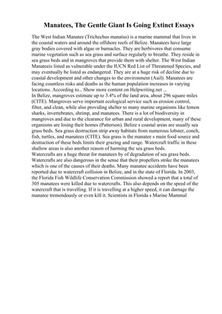 Manatees, The Gentle Giant Is Going Extinct Essays
The West Indian Manatee (Trichechus manatus) is a marine mammal that lives in
the coastal waters and around the offshore reefs of Belize. Manatees have large
gray bodies covered with algae or barnacles. They are herbivores that consume
marine vegetation such as sea grass and surface regularly to breathe. They reside in
sea grass beds and in mangroves that provide them with shelter. The West Indian
Manateeis listed as vulnerable under the IUCN Red List of Threatened Species, and
may eventually be listed as endangered. They are at a huge risk of decline due to
coastal development and other changes to the environment (Auil). Manatees are
facing countless risks and deaths as the human population increases in varying
locations. According to... Show more content on Helpwriting.net ...
In Belize, mangroves estimate up to 3.4% of the land area, about 296 square miles
(CITE). Mangroves serve important ecological service such as erosion control,
filter, and clean, while also providing shelter to many marine organisms like lemon
sharks, invertebrates, shrimp, and manatees. There is a lot of biodiversity in
mangroves and due to the clearance for urban and rural development, many of these
organisms are losing their homes (Patterson). Belize s coastal areas are usually sea
grass beds. Sea grass destruction strip away habitats from numerous lobster, conch,
fish, turtles, and manatees (CITE). Sea grass is the manatee s main food source and
destruction of these beds limits their grazing and range. Watercraft traffic in these
shallow areas is also another reason of harming the sea grass beds.
Watercrafts are a huge threat for manatees by of degradation of sea grass beds.
Watercrafts are also dangerous in the sense that their propellers strike the manatees
which is one of the causes of their deaths. Many manatee accidents have been
reported due to watercraft collision in Belize, and in the state of Florida. In 2003,
the Florida Fish Wildlife Conservation Commission showed a report that a total of
305 manatees were killed due to watercrafts. This also depends on the speed of the
watercraft that is travelling. If it is travelling at a higher speed, it can damage the
manatee tremendously or even kill it. Scientists in Florida s Marine Mammal
 