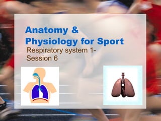 Anatomy & Physiology for Sport Respiratory system 1- Session 6 