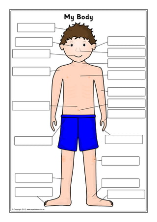 Body labelling | PDF
