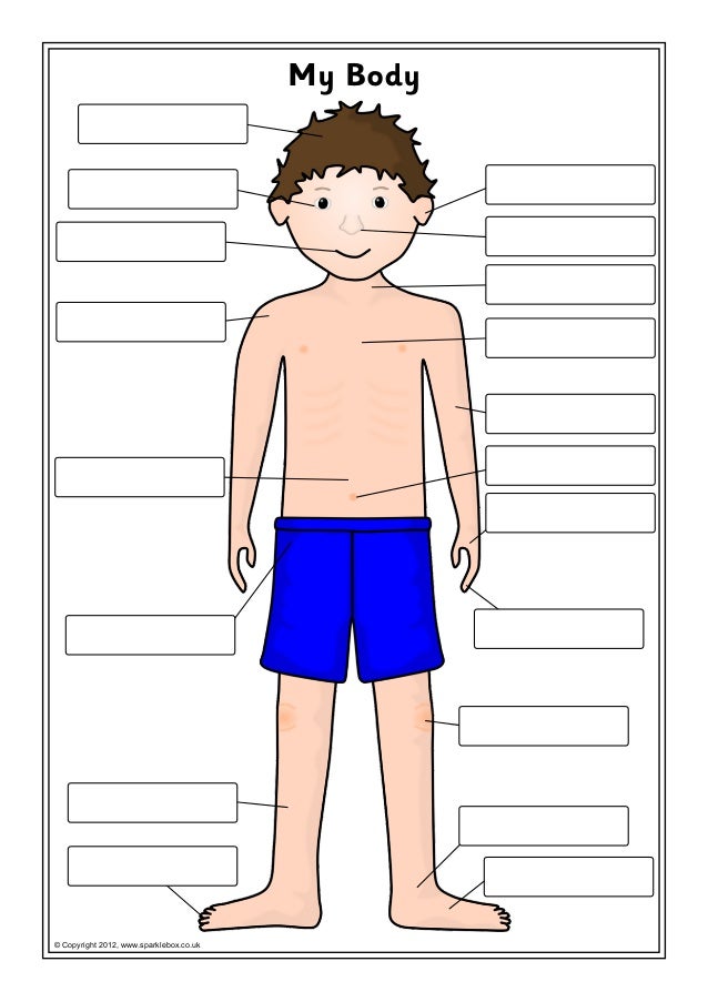 Body Labelling Body Labelling