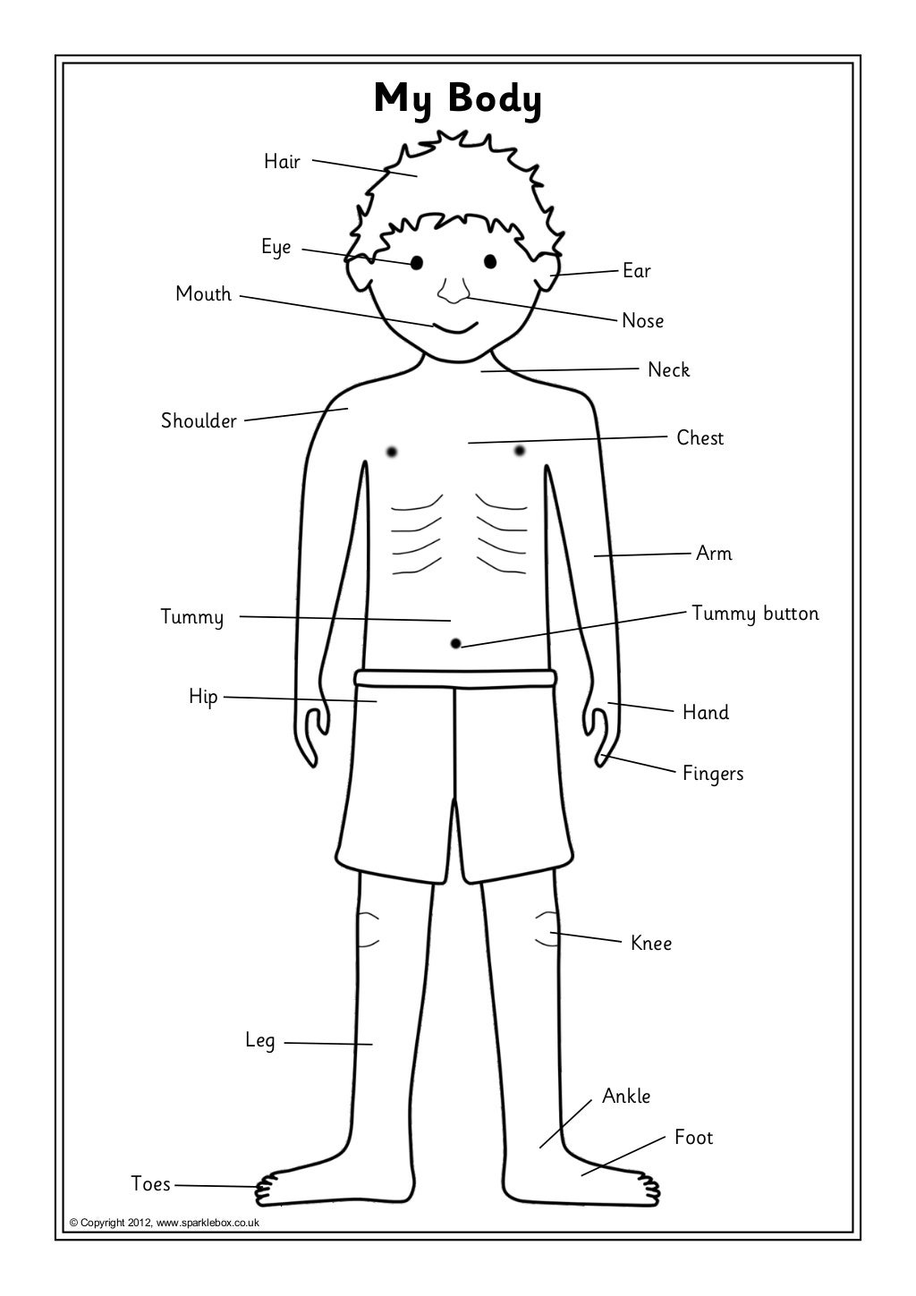 Body labelling