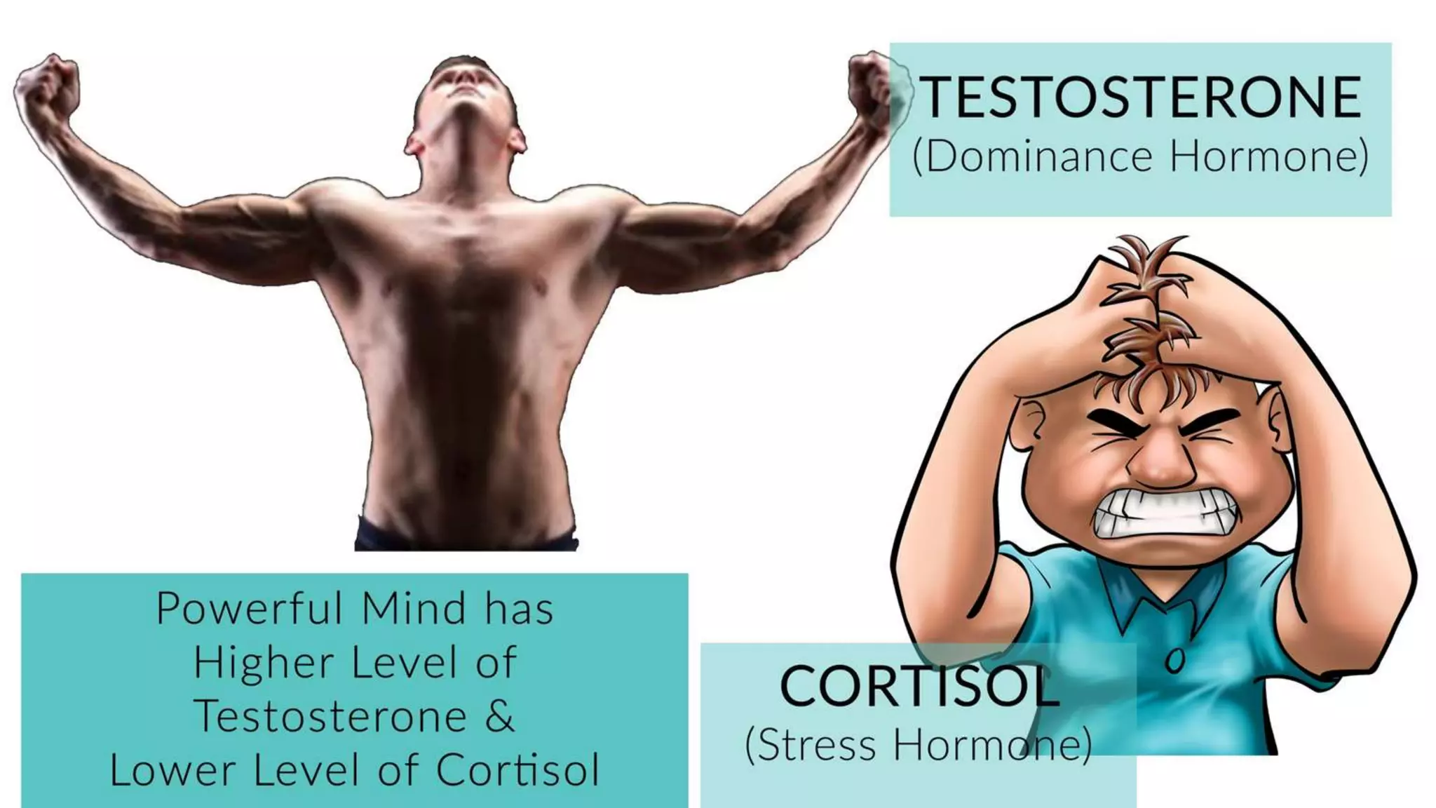 How your body language shapes who you are?
