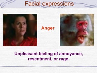 Body language | PPT