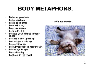 Body Language Humor | PPT