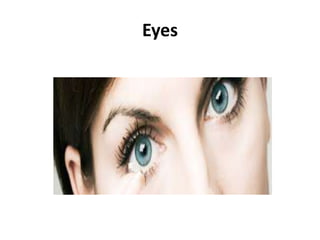 Eyes
 