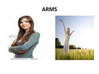 ARMS
 