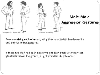 Two men sizing each other up, using the characteristic hands-on-hips
and thumbs-in-belt gestures.
If these two men had been directly facing each other with their feet
planted firmly on the ground, a fight would be likely to occur
Male-Male
Aggression Gestures
 