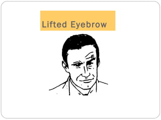 Lifted Eyebrow
 