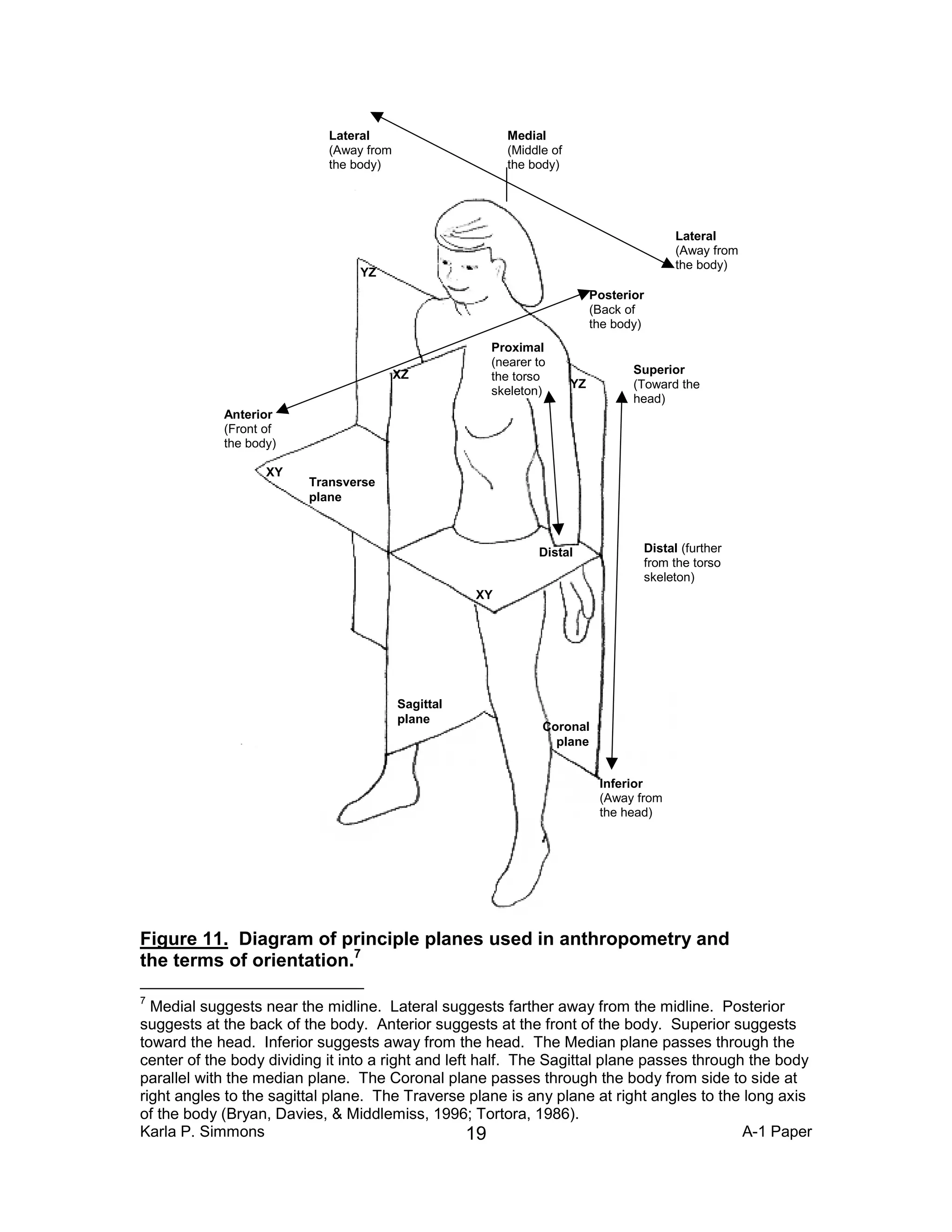 Body measurement techniques a comparison of three-dimensional body ...