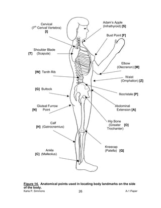 Body measurement techniques a comparison of three-dimensional body ...