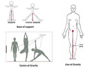 Base of support
Centre of Gravity Line of Gravity
 