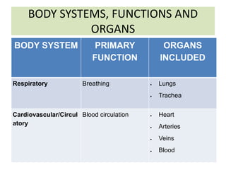 BODY SYSTEMS, FUNCTIONS AND
ORGANS
BODY SYSTEM PRIMARY
FUNCTION
ORGANS
INCLUDED
Respiratory Breathing  Lungs
 Trachea
Cardiovascular/Circul
atory
Blood circulation  Heart
 Arteries
 Veins
 Blood
 