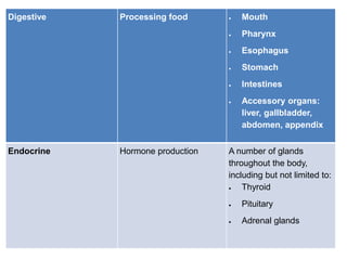 Digestive Processing food  Mouth
 Pharynx
 Esophagus
 Stomach
 Intestines
 Accessory organs:
liver, gallbladder,
abdomen, appendix
Endocrine Hormone production A number of glands
throughout the body,
including but not limited to:
 Thyroid
 Pituitary
 Adrenal glands
 
